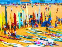 Paddleboards