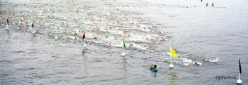 Pier to Swim Dwight Crum