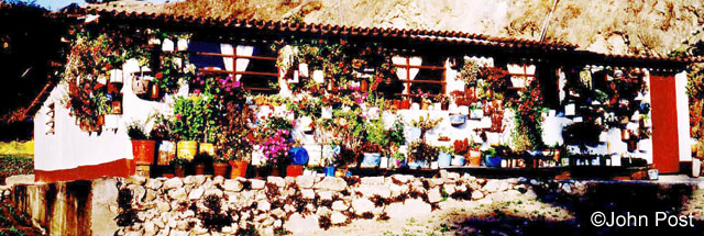 Andes Flower House Venezuela