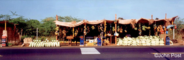 Roadside Market, Maracaibo Venezuela