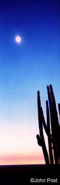 Solar Eclipse & Cactus Venezuela