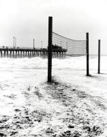 No Volleyball Today