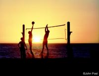 Vollyball Silhouette '89 Square