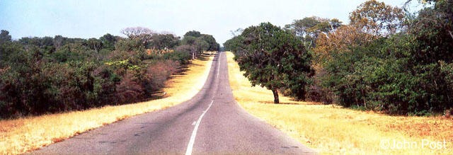 Road to Vic Falls Zimbabwe, Africa
