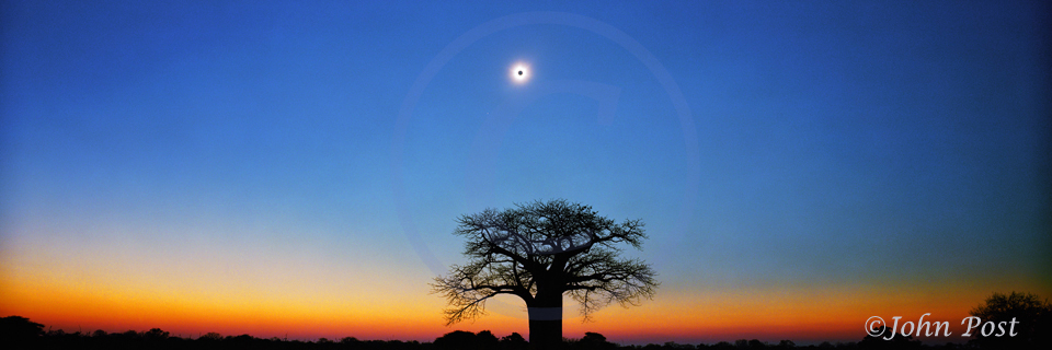 silhouette of Baobab tree against wilight sky and total solar eclipe.