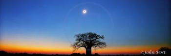 Solar Eclipse and Baobab Tree Zimbabwe Africa